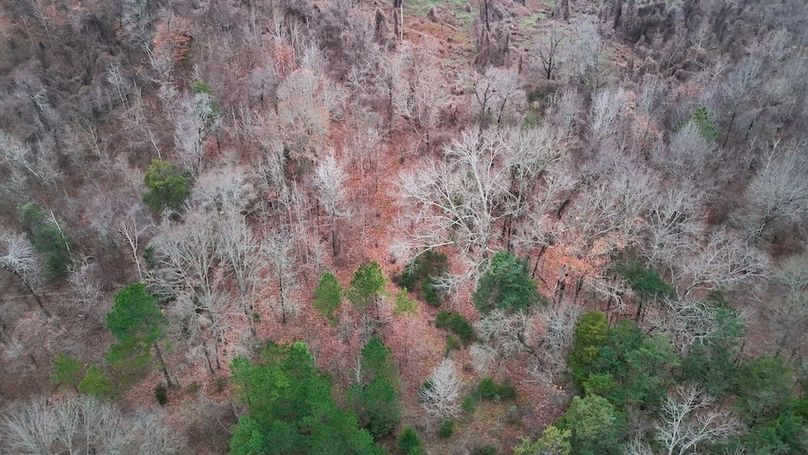 Yazoo Co - 75 - Batton-36