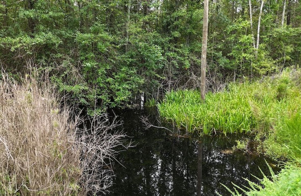 dji_fly_20250715_110022_0579_1752592312870_photo