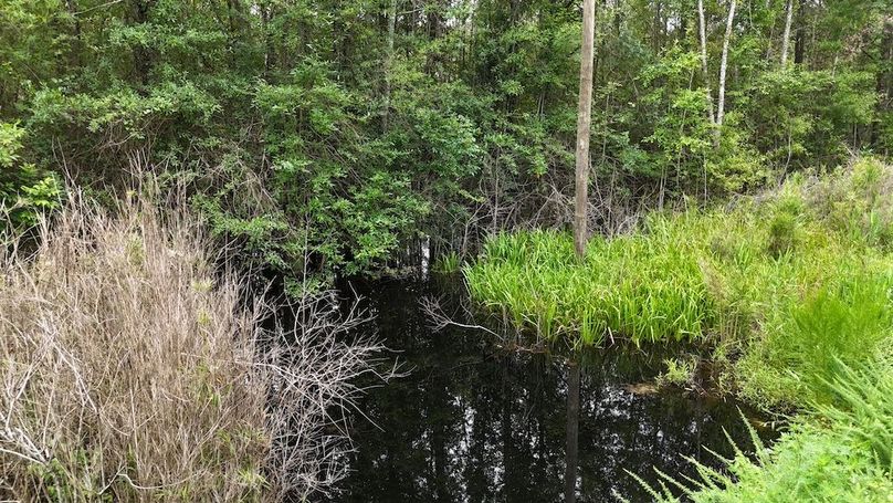 dji_fly_20250715_110022_0579_1752592312870_photo