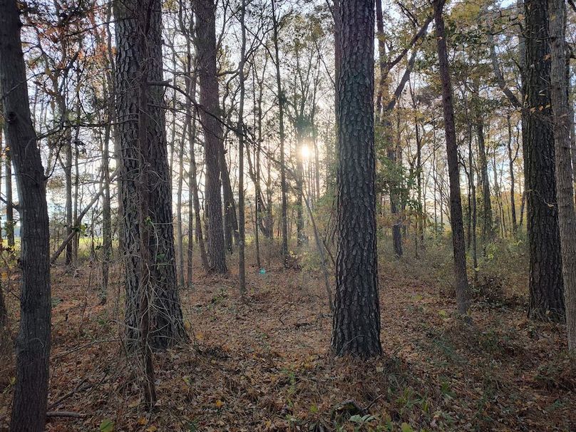 IMG_20251105_160023663_HDR