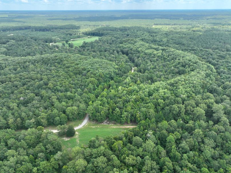 dji_fly_20230731_133010_452_1690845669087_photo