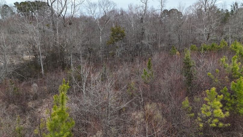 dji_fly_20260218_164836_0045_1771452051443_photo