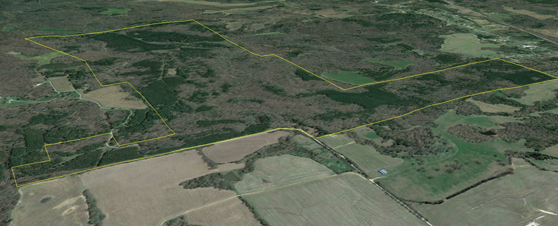 3d google from nw-3