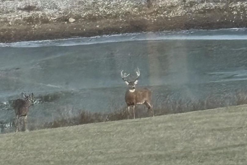 518d3877-2df2-4e03-bacd-62d0383fd93f