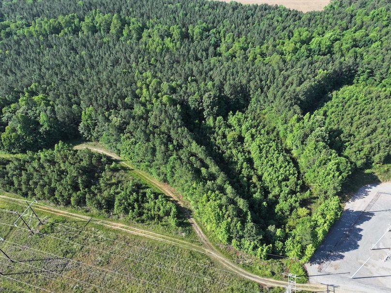 dji_fly_20260518_090330_0909_1779196489963_photo