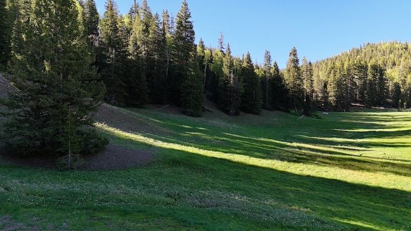 DJI_20250614082244_0159_D