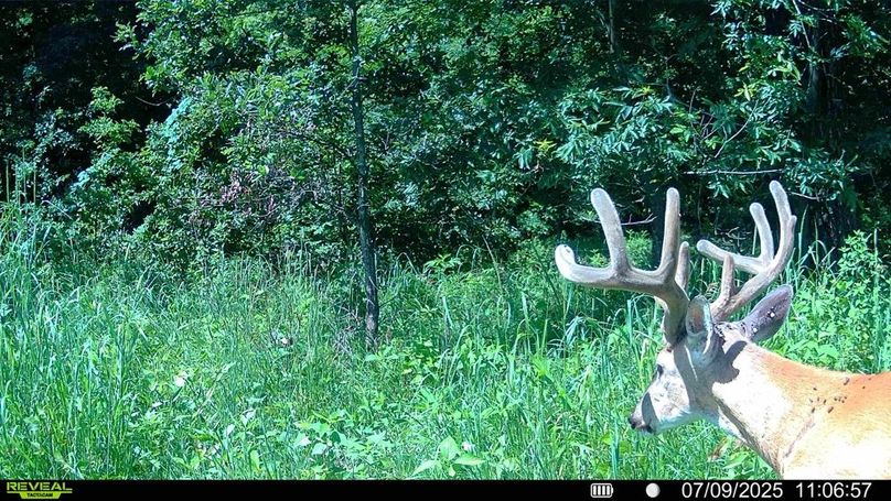 016578000207826-76-2-07092025110950-HD-SYFW10476