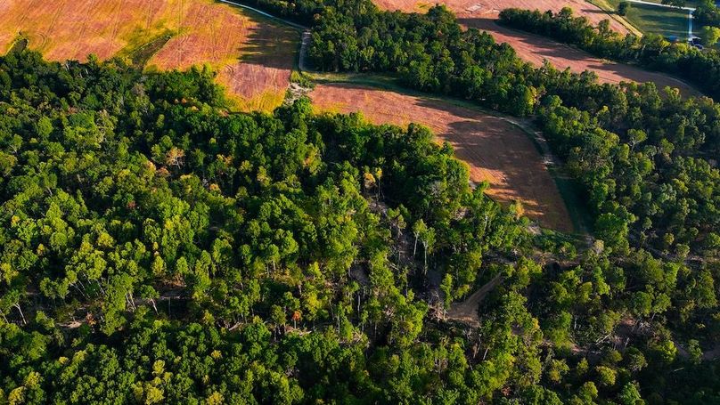 dji_fly_20250917_085542_0527_1758113878013_photo