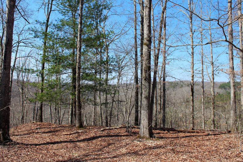 017 ridgetop point facing southwest overlooking the river valley below