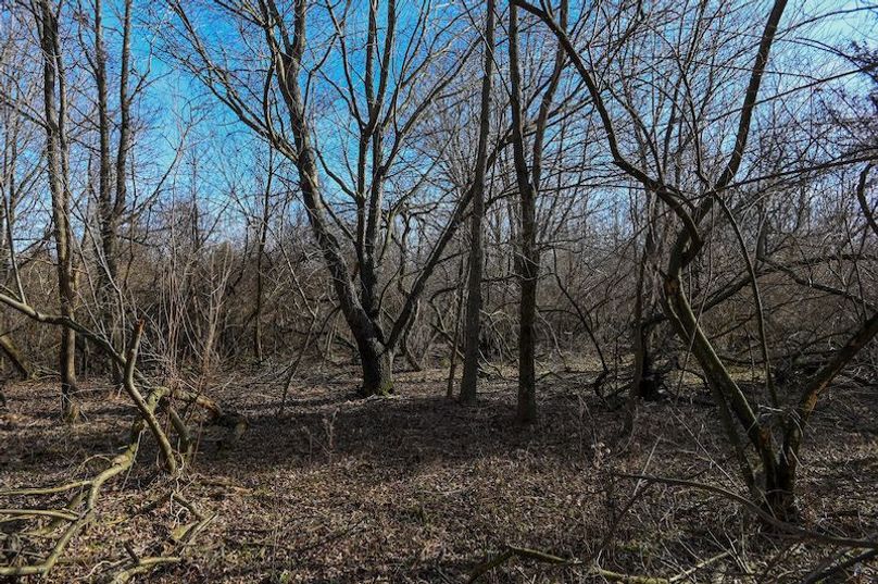 vandalia 450 (2)-1718