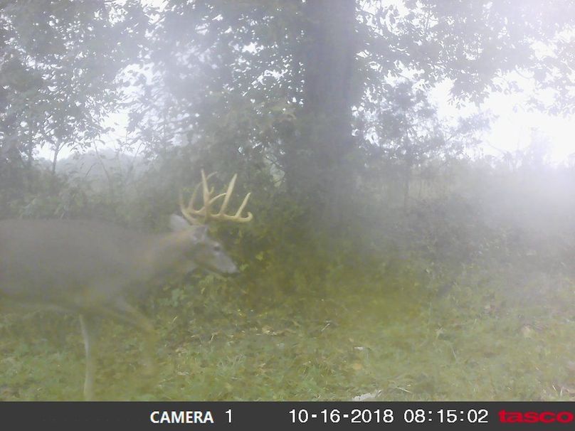 44546824_187162982184068_1558245032983527424_n