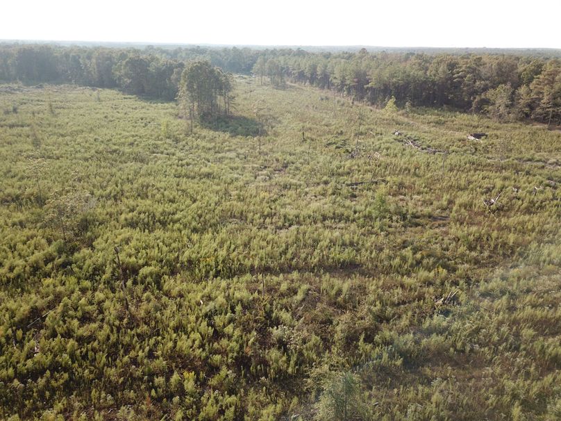 DJI_0835