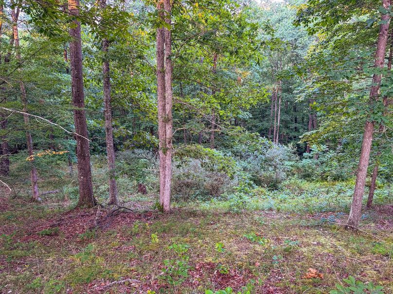 Ritchie, WV 127 AC Robinson-46