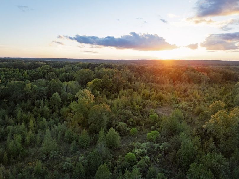 26 edited sunset pic