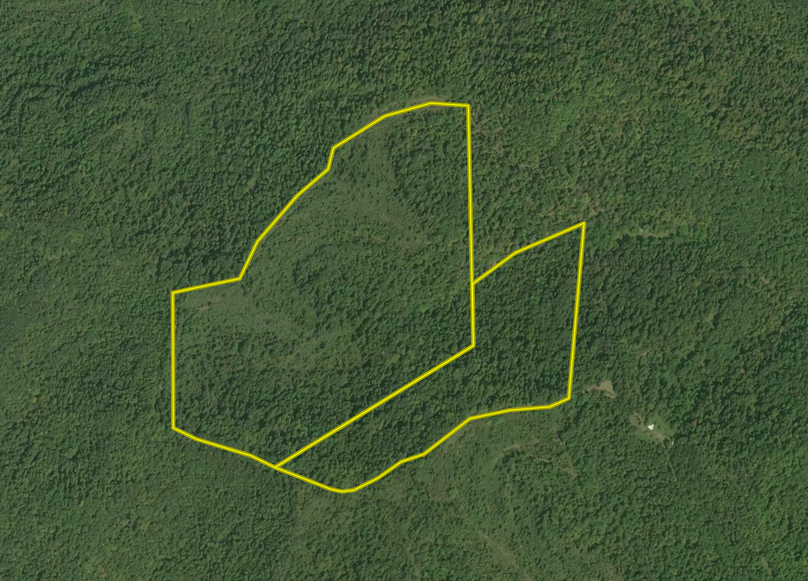 Screen Shot 2023-08-14 at 10.19.39 AM