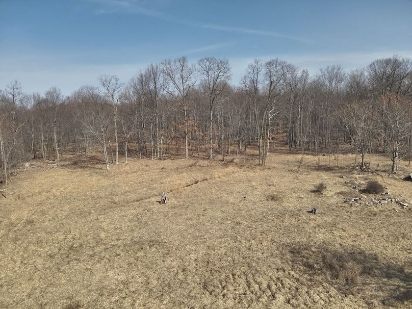 DJI_20250304114449_0003_V