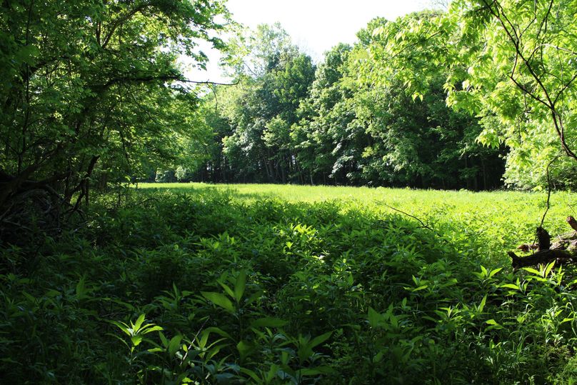 21-potentialfoodplot