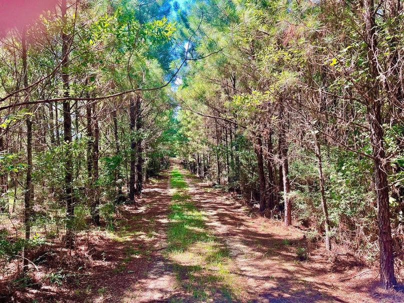 CD11D39C-CB52-4734-A253-84DE8A50B6E4_1_201_a