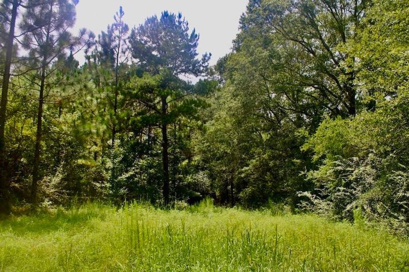 8EE9E529-095B-4A81-B979-D6E105C7BB30_1_105_c