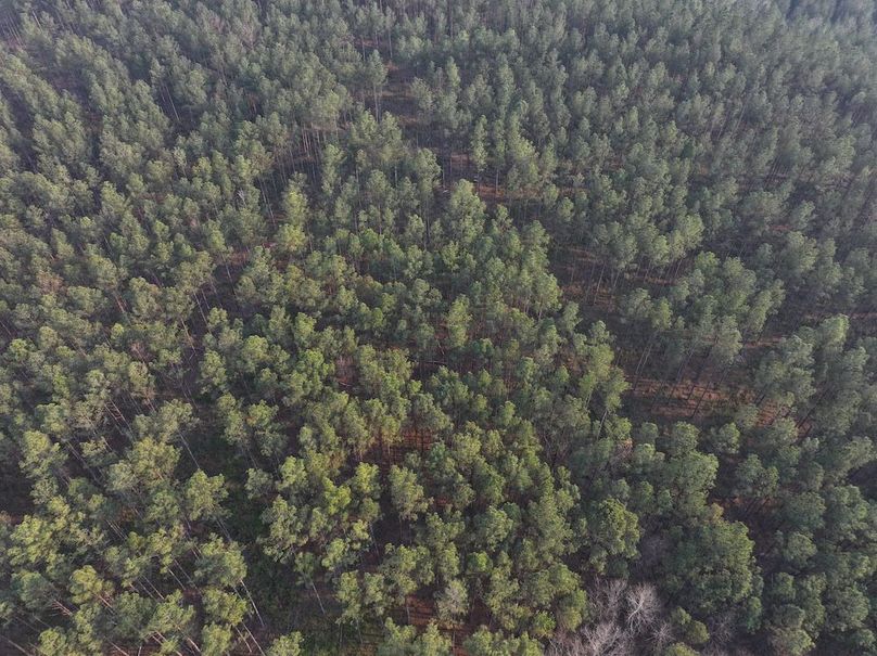 F109 - 105 Acres - Drone-12