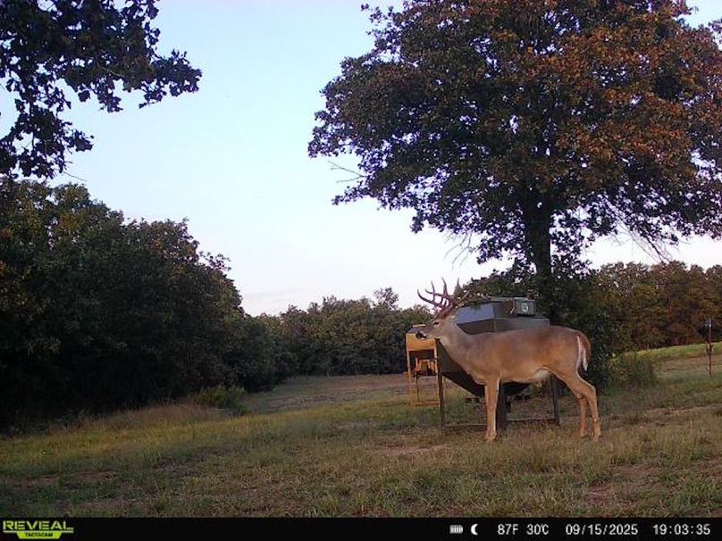 864049057007223-100-4-09152025190334-W1002306