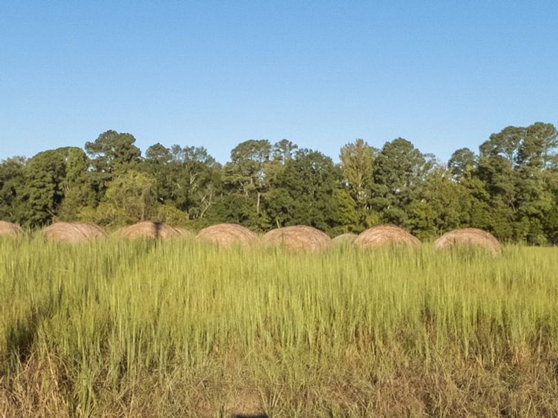 Hinds Co - 78 - Newman-30