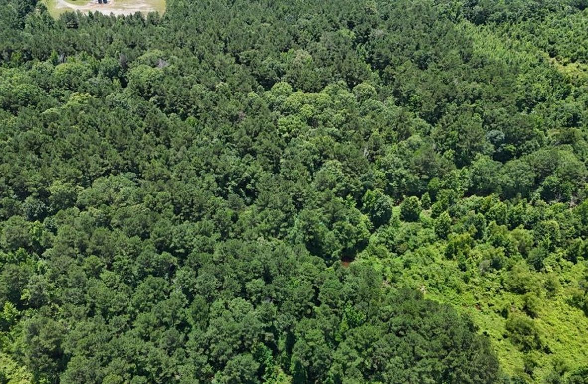 DJI_20250620020733_0633_D