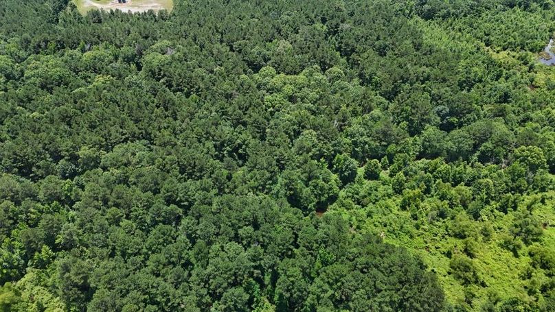 DJI_20250620020733_0633_D