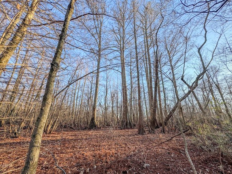 St. Francis 138.5 Calvin Parker Farms Profile -25