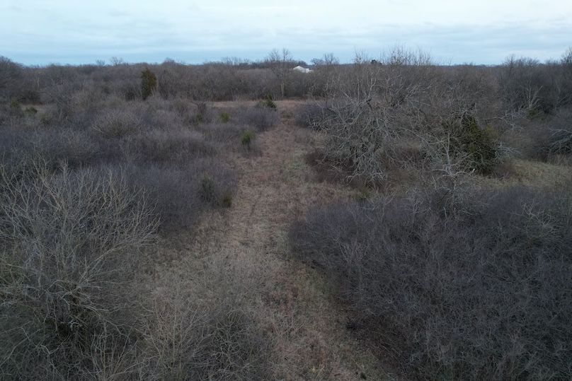 DJI_0939