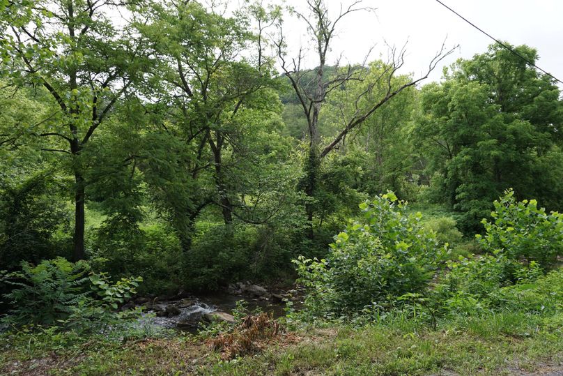 Across creek into 65