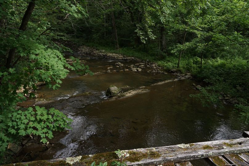 Creek from old bridge