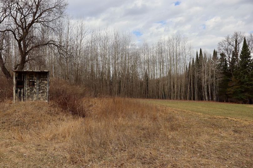 Copy of Copy of IMG_0516