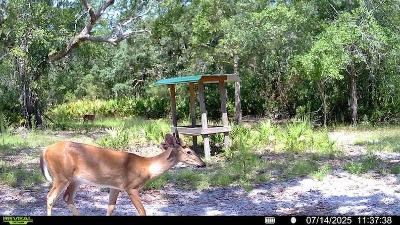 016579002709132-93-2-07142025113738-SYFW00255