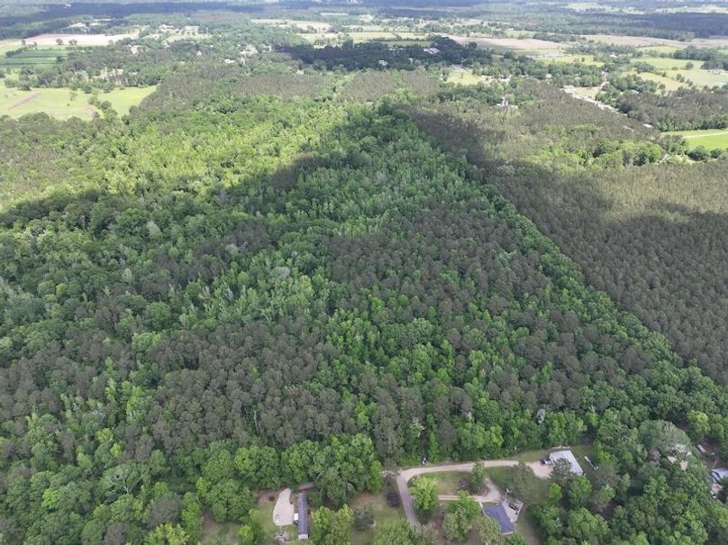 dji_fly_20260413_103810_0008_1776114944132_photo