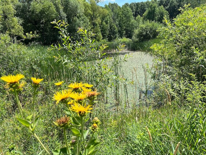 Yates_9_Dunlop Photo 13