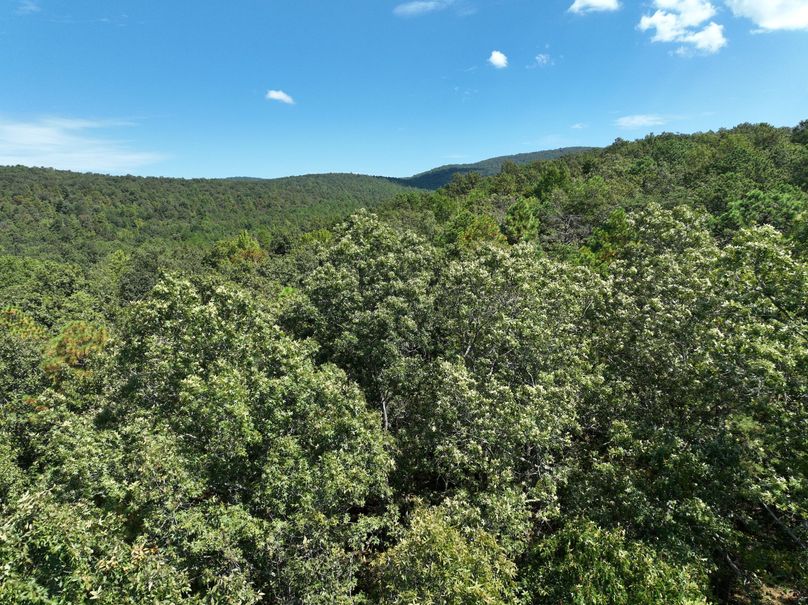 DJI_0174