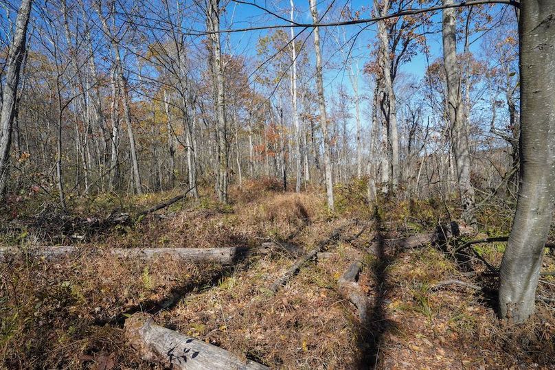 Somerset, 10.91, Tinkey-31