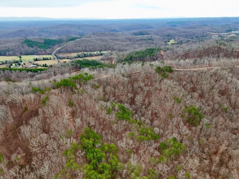 Roane Co TN 396 20251127_57