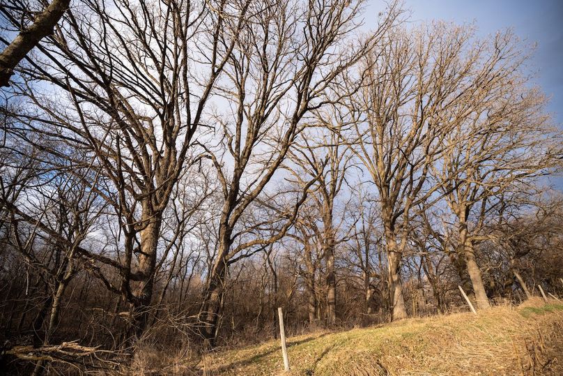 3605 Big Hill Rd.-102