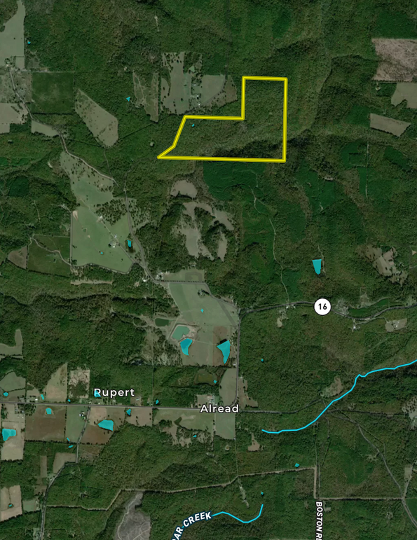 Screenshot 2026-02-14 at 10.02.54 AM