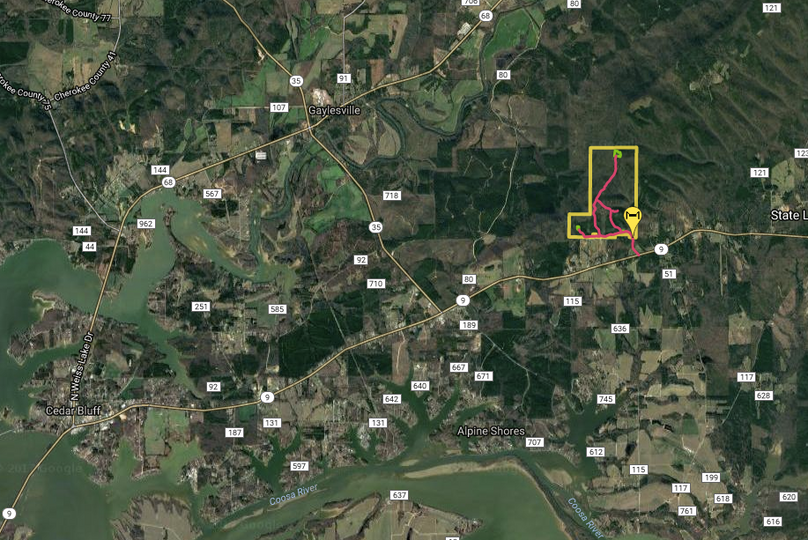 Screen shot 2017-08-23 at 9.28.58 pm