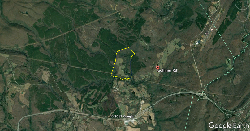 Screen shot 2017-08-08 at 10.06.09 pm