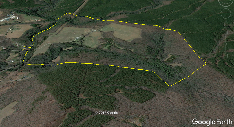 Screen shot 2017-08-08 at 10.07.26 pm