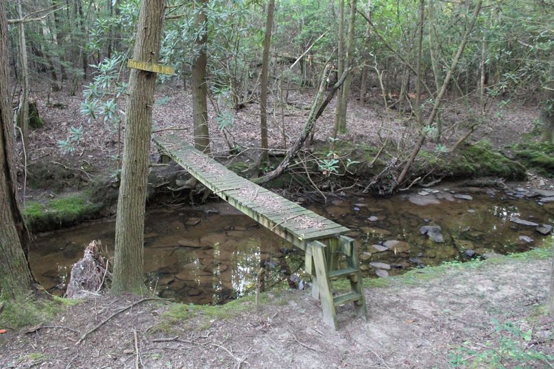 Secret treestand location