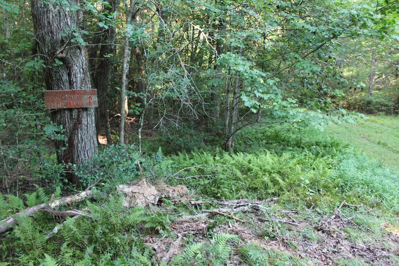 Signs everywhere you go