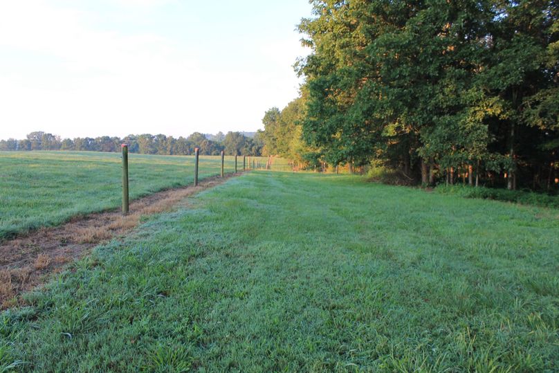 19 field edges for wildlife