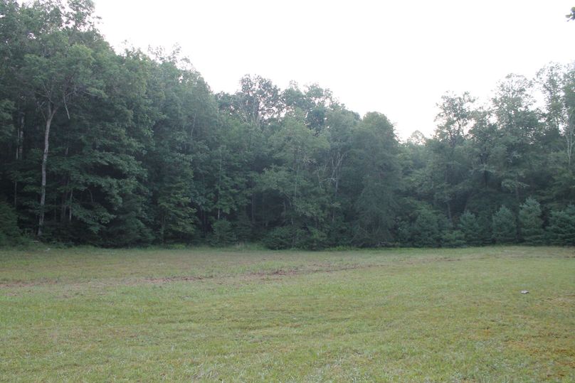 56 field in front of creek cabin