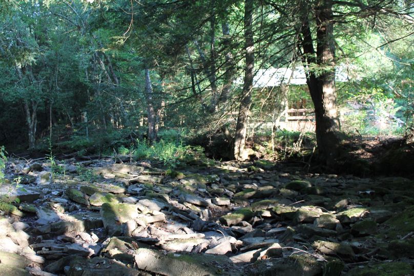 58 creek cabin in the back ground