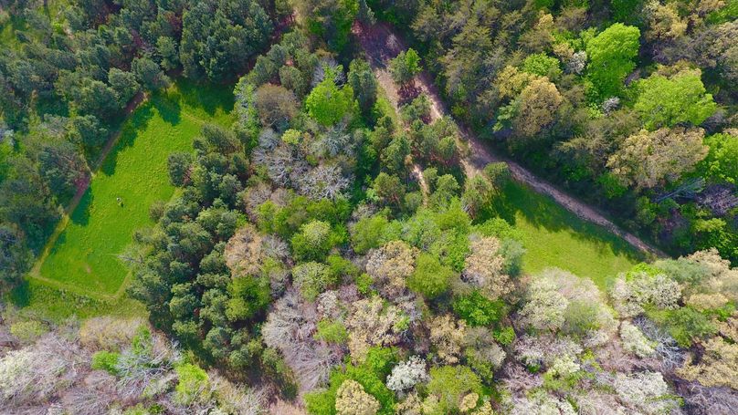 6 secluded food plots